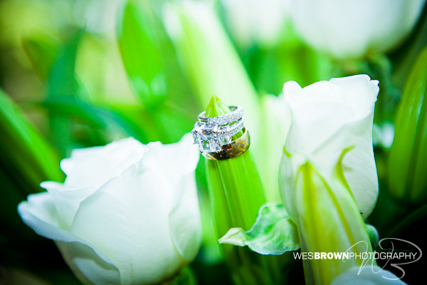 Dillon Wedding by Wes Brown Photography